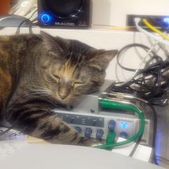 IMG_20130701_223914.jpg